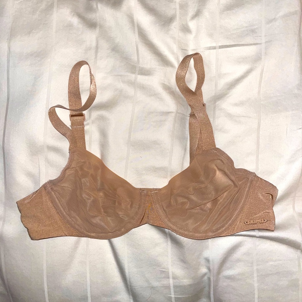 Skims Sheer Bra